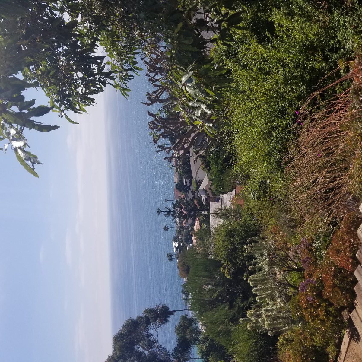 Laguna Beach property management company repipe planning photo for multi-unit plumbing