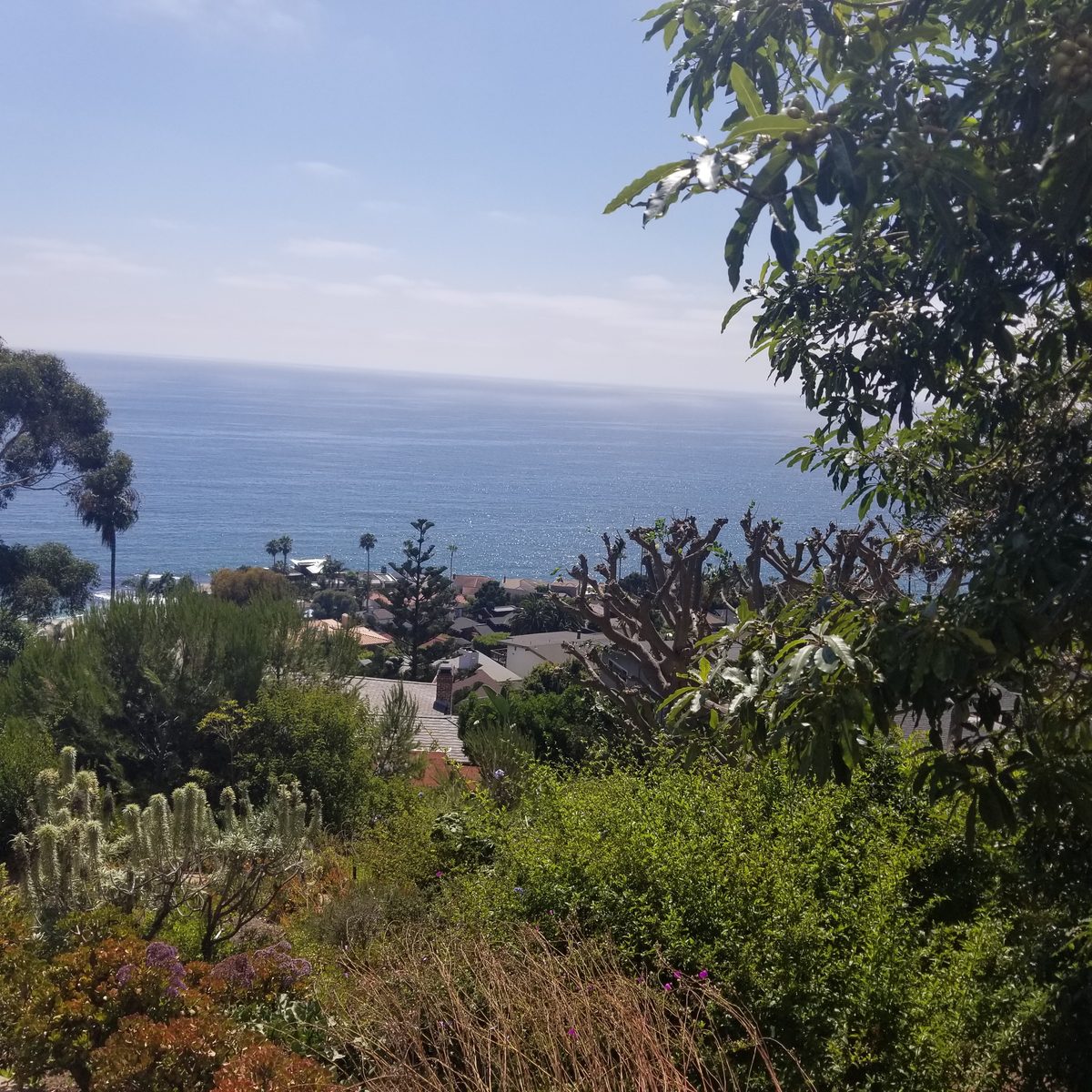 Whole home PEX repipe material photo for Laguna Beach residents comparing pipe options